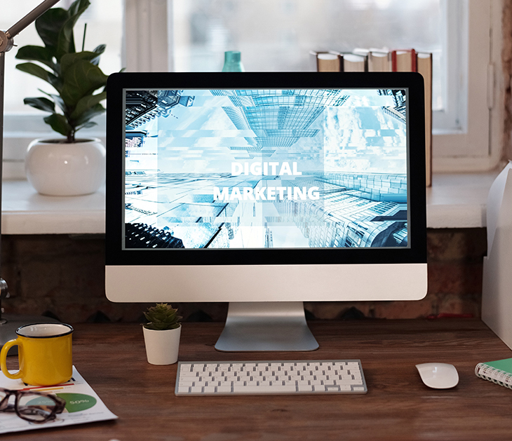 SEO Company in Jaipur